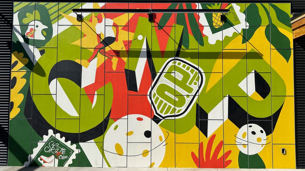 Chicken N Pickle Murals