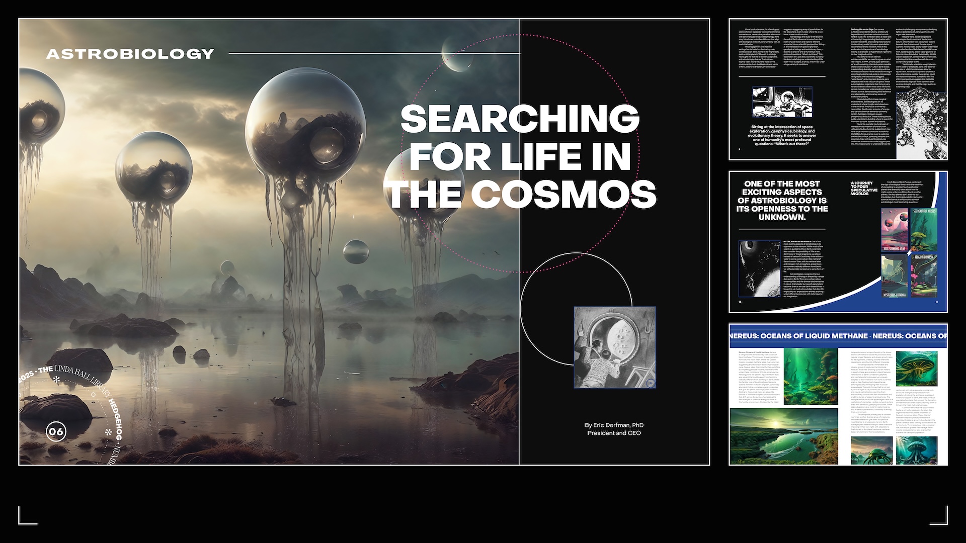 Hedgehog 2025 Editorial