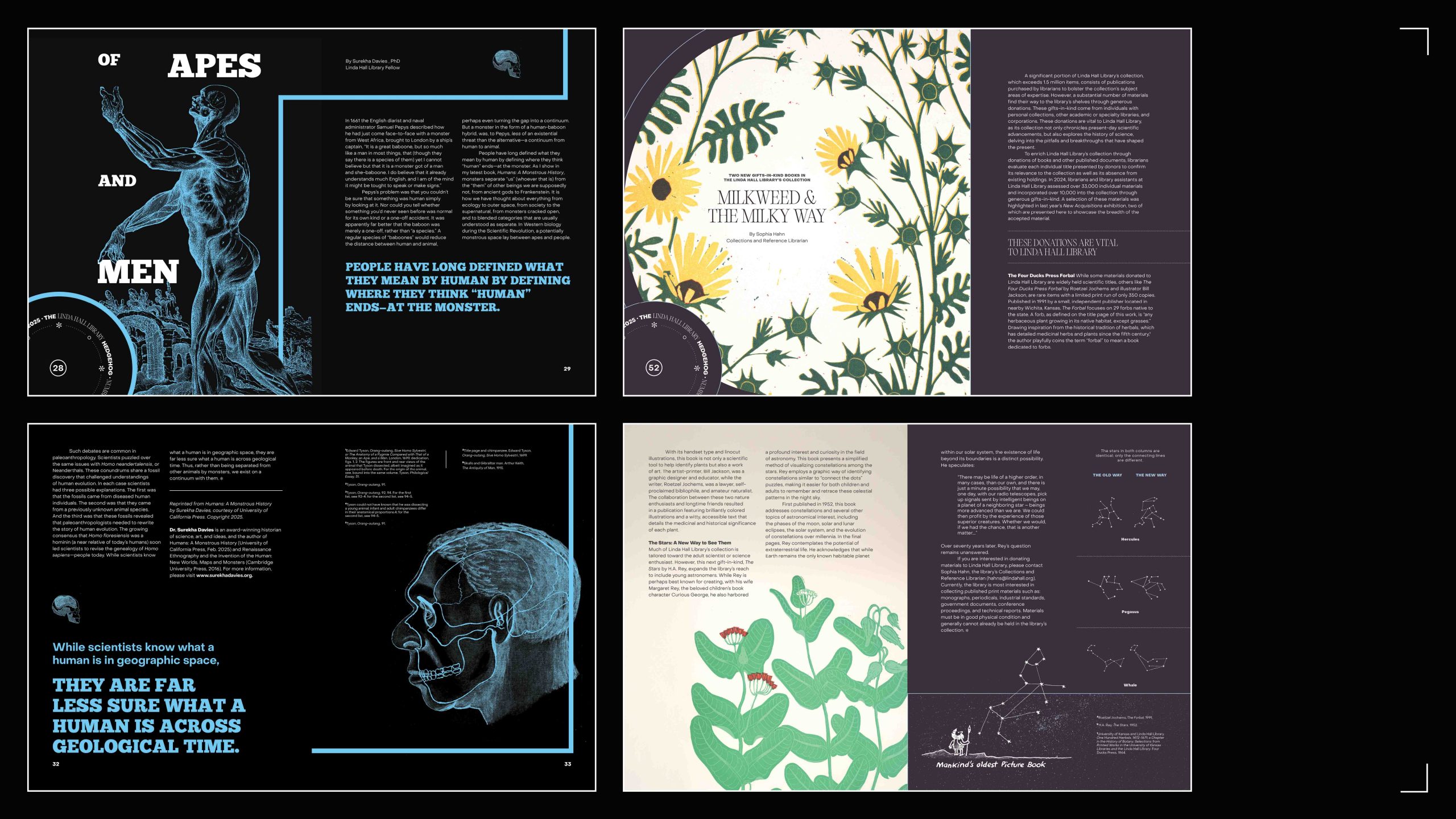 Hedgehog 2025 Editorial