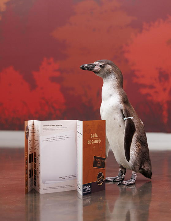 Survival of the Fittest Exhibition: Field Guide