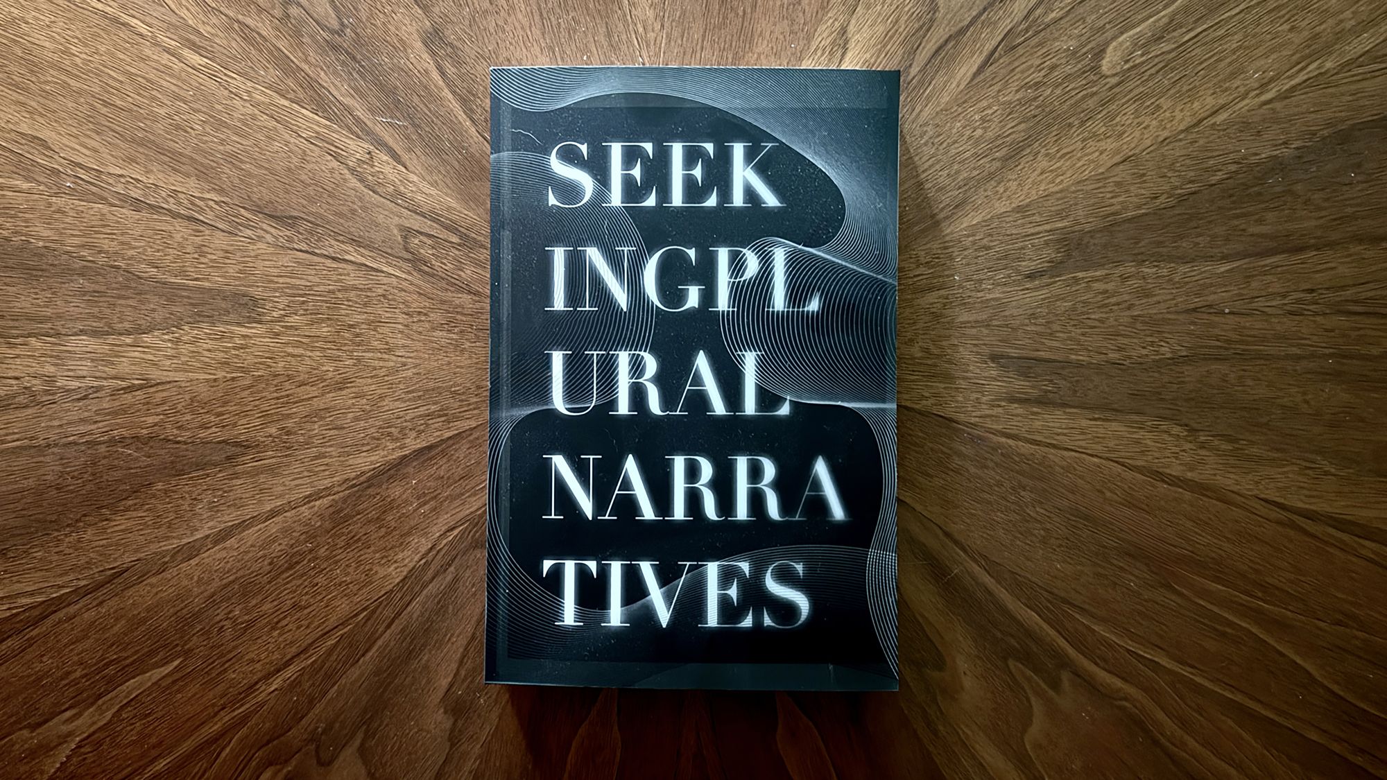 Seeking Plural Narratives 2024